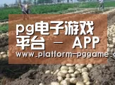 种植基地八