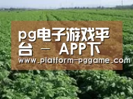 种植基地五(图1)