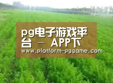 种植基地四