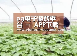 种植基地三