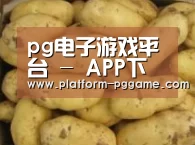 产品展示标题6
