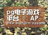 种植基地七