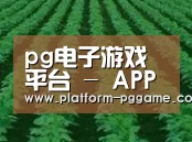 种植基地六