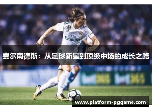 费尔南德斯：从足球新星到顶级中场的成长之路