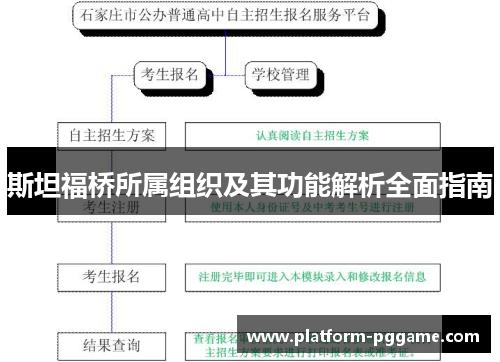 斯坦福桥所属组织及其功能解析全面指南