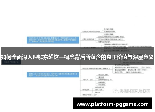如何全面深入理解东超这一概念背后所蕴含的真正价值与深层意义