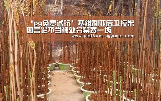 pg免费试玩