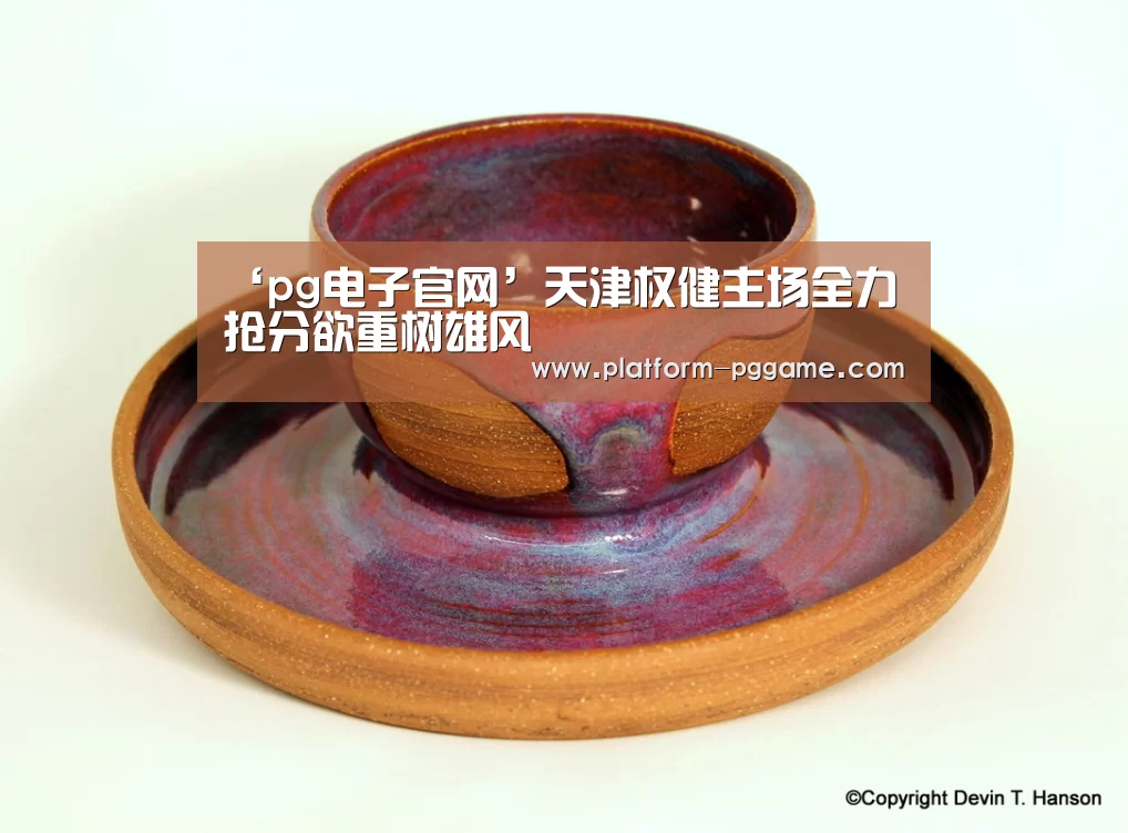 ‘pg电子官网’天津权健主场全力抢分欲重树雄风(图4) pg游戏试玩
